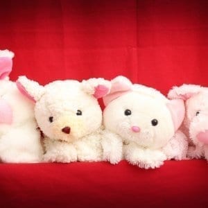 Spectacle-de-marionnettes